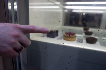 Fotografia dels desperfectes al vidre de la gelateria Amarena durant els actes de foc.