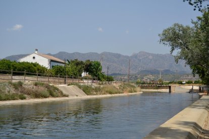 Imatge del riu Ebre al seu pas per Xerta