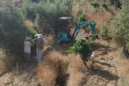 Excavación en el Hort del Piquer de Gratallops.