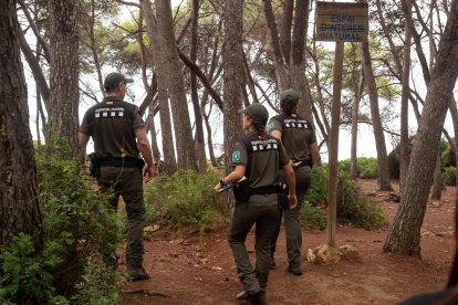 Vigilància d’Agents Rurals al Bosc de la Marquesa.