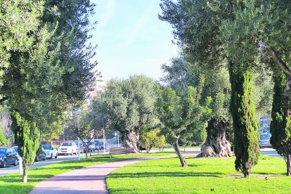 El nou contracte, de dos anys de durada, reforça la cura dels parcs i jardins del municipi.