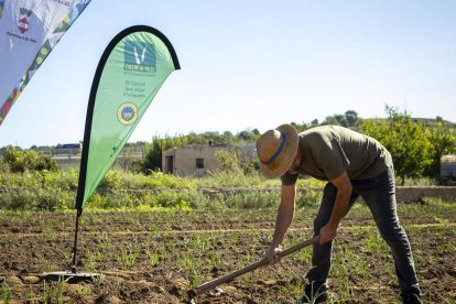 La Cooperativa Agrícola acollirà l'acte gastronòmic que complementarà el Calçofest