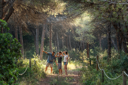 Imagen del bosque de Can Camins.