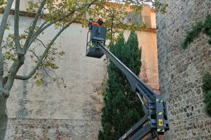 De moment, no es pot avançar una data de previsió d'obertura.