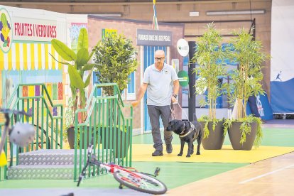 L'instructor Manuel de la Dehesa i el gos pigall Yudi, completant el circuit d'obstacles per entrenar l'animal.