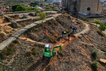 Es plantaran més d’un miler de plantes, que faran d’aquest entorn un espai molt més atractiu.