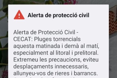 L'avís de Protecció Civil alertant de pluges torrencials, enviat als telèfons mòbils aquest dimecres vora tres quarts de deu del vespre.