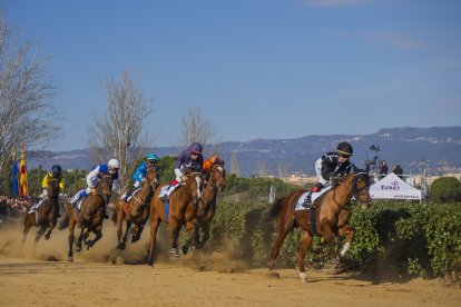 El Cós de Sant Antoni se celebrarà diumenge 18 a la Torre d’en Dolça a partir de les 11 hores.