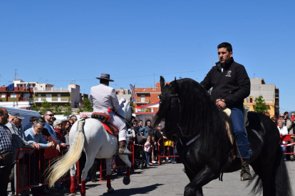 El cavall és un símbol destacat a la Feria de Abril de Sevilla. Per això, a la versió tarragonina de la festa no hi podien faltar. Aquest matí, deu cavalls han deixat al públic de Bonavista sense paraules. Acrobàcies i salts per a tots els gustos. Per segon any consecutiu, la Feria de Abril de Bonavista ha celebrat un espectacle de doma de cavalls.