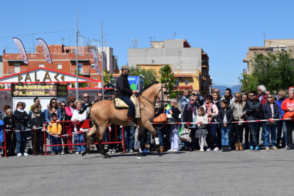 El cavall és un símbol destacat a la Feria de Abril de Sevilla. Per això, a la versió tarragonina de la festa no hi podien faltar. Aquest matí, deu cavalls han deixat al públic de Bonavista sense paraules. Acrobàcies i salts per a tots els gustos. Per segon any consecutiu, la Feria de Abril de Bonavista ha celebrat un espectacle de doma de cavalls.