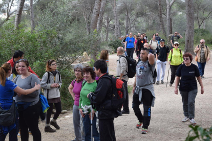 Els veïns dels barris de Ponent de Tarragona van caminar ahir per reivindicar que es condicionin les rutes verdes que uneixen els barris de Ponent i de Llevant amb el centre de la ciutat, i així adherir-se a l'Anella Verda de Tarragona. La 5a edició de la Caminada Popular de Ponent  demana que aquests camins d'unió entre barris i ciutat siguin aptes per vianants i bicicletes, i que estiguin separats del tràfic.