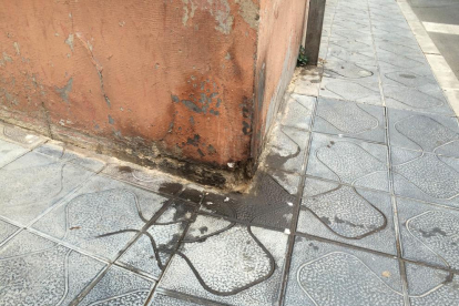 La brutícia està present a molts barris de la capital del Tarragonès.