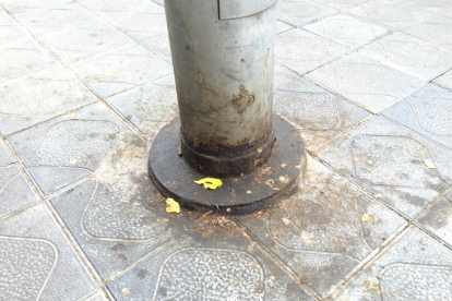 La brutícia està present a molts barris de la capital del Tarragonès.