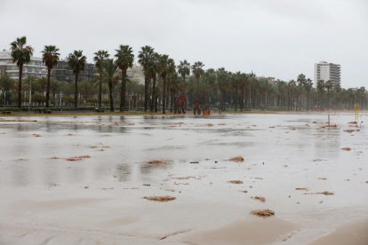Els efectes del temporal d'aquest dimecres que ha afectat les poblacions del Camp de Tarragona.