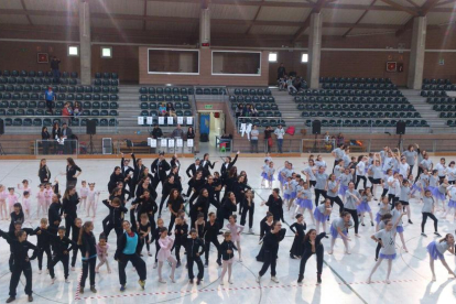 Per commemorar el Dia Internacional de la Dansa, el pavelló municipal de Cambrils ha acollit un festival amb alumnes del Centre de Dansa Cambrils i de l'Estudi Giselle.