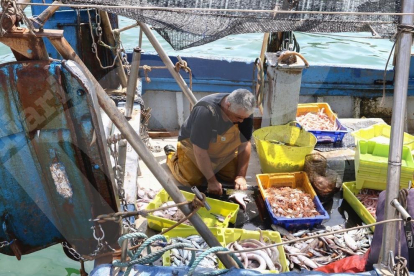 Els pescadors tornen a la mar entre crítiques per la norma del triatge. Vint-i-tres vaixells d'arrossegament acaben la veda i pesquen 6.100 quilograms de peix, principalment blanc.