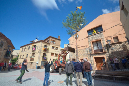 Desena edició de la festa de la plantada de l'arbre a laplaça de l'Ajuntament de la Febró.