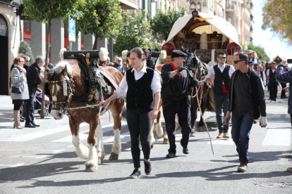 Diferents cavalls i carros han desfilat aquest matí pels carrers de la ciutat