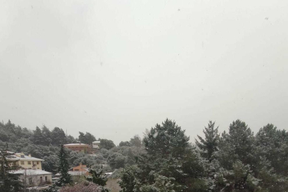 El poble de Prades es tenyeix de blanc en ple mes de març