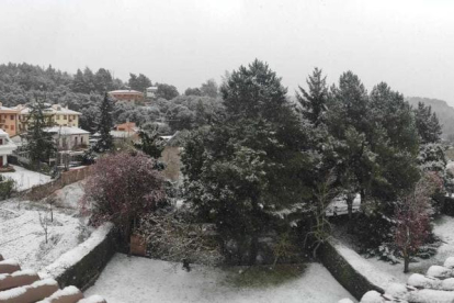 El poble de Prades es tenyeix de blanc en ple mes de març