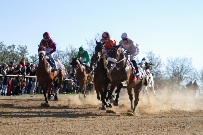 Les curses de cavalls s'han convertit en un dels principals punts d'interès de la Festa Major d'Hivern de Vila-seca.