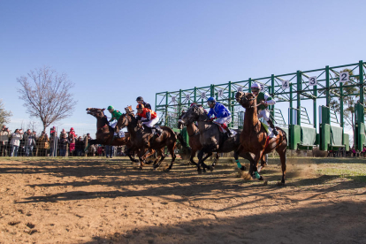 Les curses de cavalls s'han convertit en un dels principals punts d'interès de la Festa Major d'Hivern de Vila-seca.