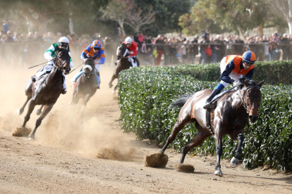 El Parc de la Torre d'en Dolça de Vila-seca va acollir la tradicional competició de cavalls pura sang anglesos, que se celebra cada any per la Festa Major