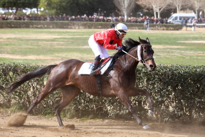 El Parc de la Torre d'en Dolça de Vila-seca va acollir la tradicional competició de cavalls pura sang anglesos, que se celebra cada any per la Festa Major