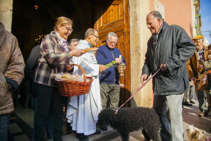 Bendición de animales en la iglesia de Sant Llorenç