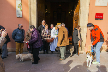 Bendición de animales en la iglesia de Sant Llorenç