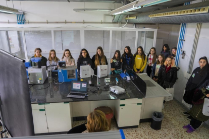 La jornada de la URV, en motiu del Dia de la Dona i la Nena en la Ciència, promou l'accés de les noies a l'enginyeria
