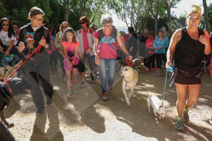 Paseo solidario de perros en la Boca de la Mina.