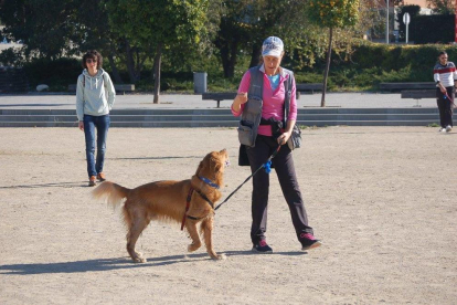 Taller realitzat al Parc Francolí per gossos.