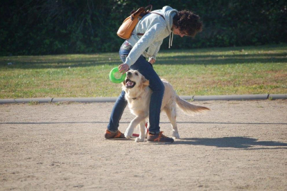Taller realitzat al Parc Francolí per gossos.