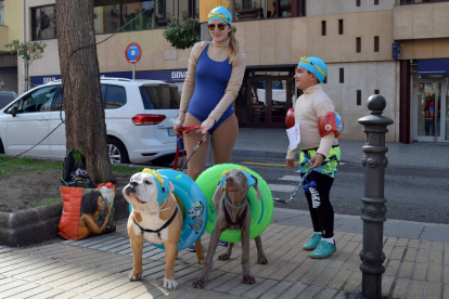Desfilada de disfresses canines del segon concurs organitzat per l'associació Galgo112.