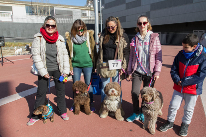 160 gossos van passejar pels carrers de Reus en el marc de la 9a edició de la fira Bestial