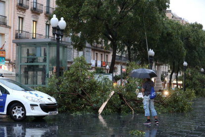 La fuerte tormenta de lluvia y viento que este miércoles ha afectado en el Campo de Tarragona ha dejado un rastro de desperfectos que muchas poblaciones.