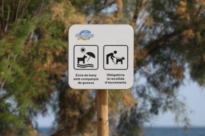 Només cinc municipis de Tarragona ofereixen platges per a gossos