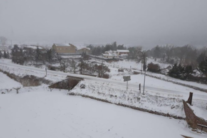 Fotos de la jornada d'ahir durant el temporal de fred i neu