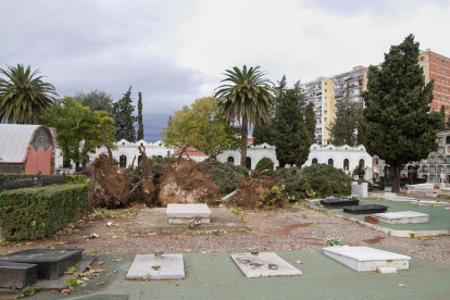 Imatges dels desperfectes causats pel temporal a Valls