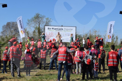 Més de 700 persones participen en la Plantada Popular del riu Francolí
