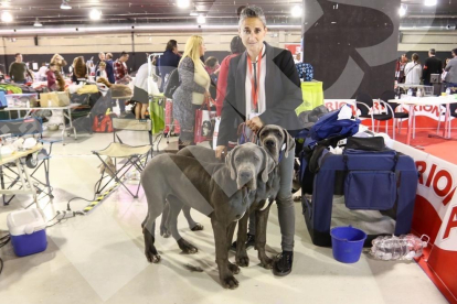 Exposición Internacional Canina en Reus