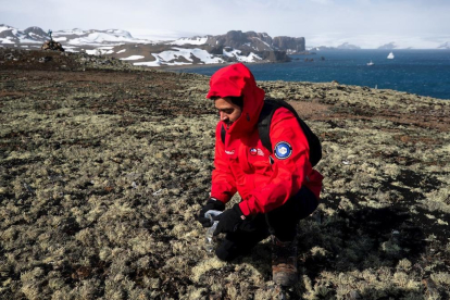 Antàrtida és avui dia el termòmetre de la Terra: un vast territori gelat en el qual els científics investiguen els efectes que produeix el canvi climàtic i que tindran conseqüències per tot el planeta.