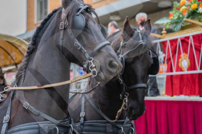 Galería d'imatges dels Tres Tombs celebrats a Reus el diumenge dia 6 de Març de 2022.