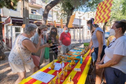 28a baixada de l'aigua de Sant Magí de la Brufaganya el 18 d'agost del 2021