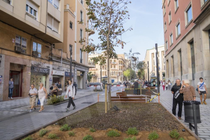 Inauguración calle Canyelles