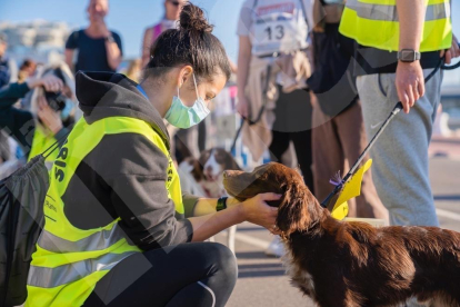 Els participants juntament amb els seus acompanyants canins han participat en una cursa que ha tornat a la presencialitat després d'un any amb realització virtual a causa de la pandèmia de la covid-19.