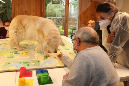 Teràpia amb gossos al Centre d'Alzheimer de Reus