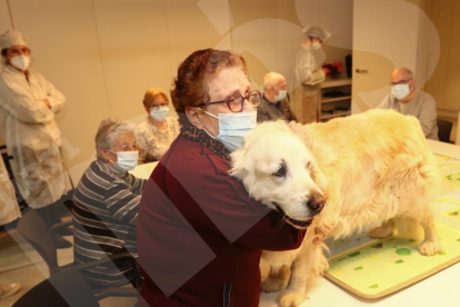 Teràpia amb gossos al Centre d'Alzheimer de Reus