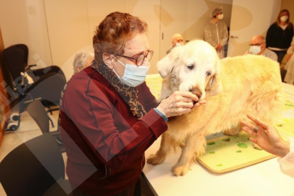 Teràpia amb gossos al Centre d'Alzheimer de Reus